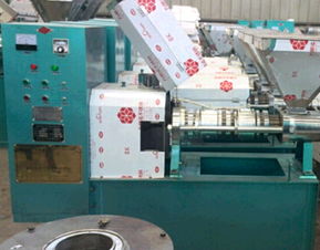 花生榨油機(jī)廠家 榨油設(shè)備 在線咨詢 黎平榨油機(jī)廠家