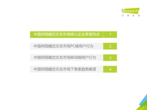 2016年第二季度中國網(wǎng)絡婚戀行業(yè)監(jiān)測報告 婚戀信息咨詢市場分析與展望